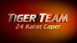 Tigerteam jewelry.png