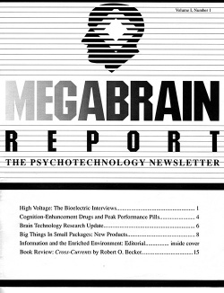 MegabrainReportCover.jpg